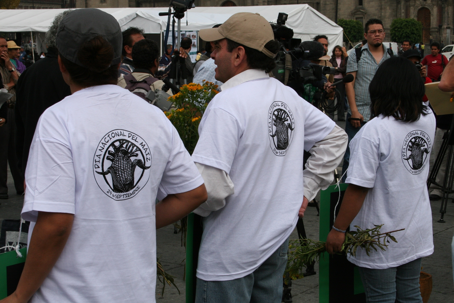 29 de septiembre de 2009