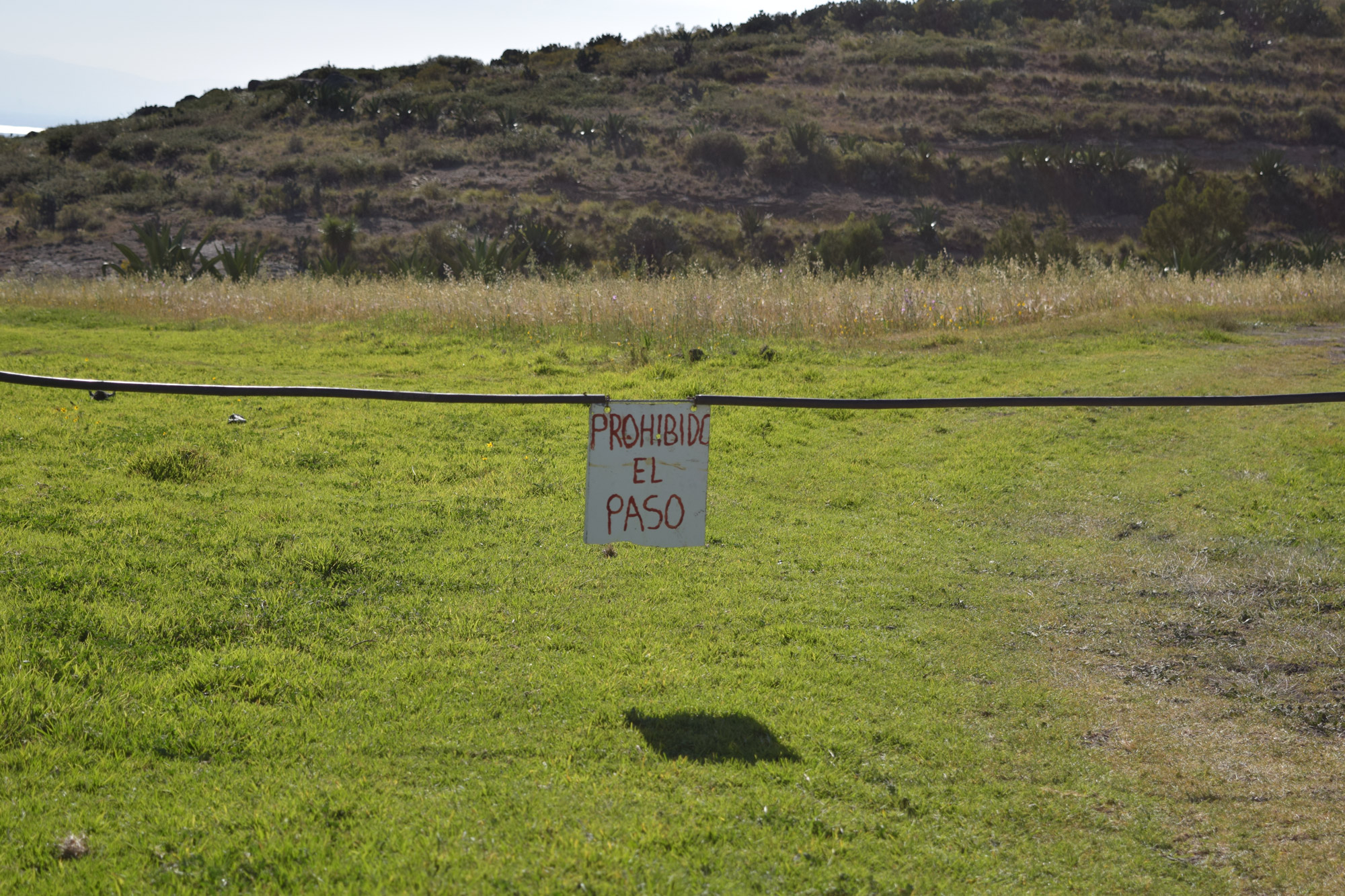 31 de diciembre de 2020