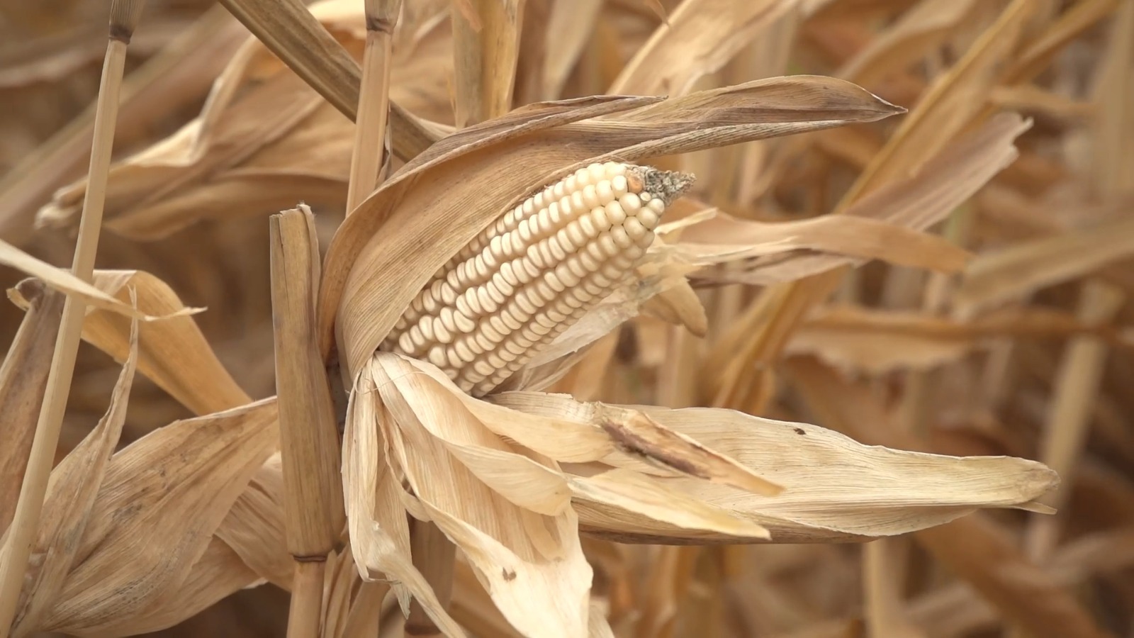 28 de septiembre de 2024